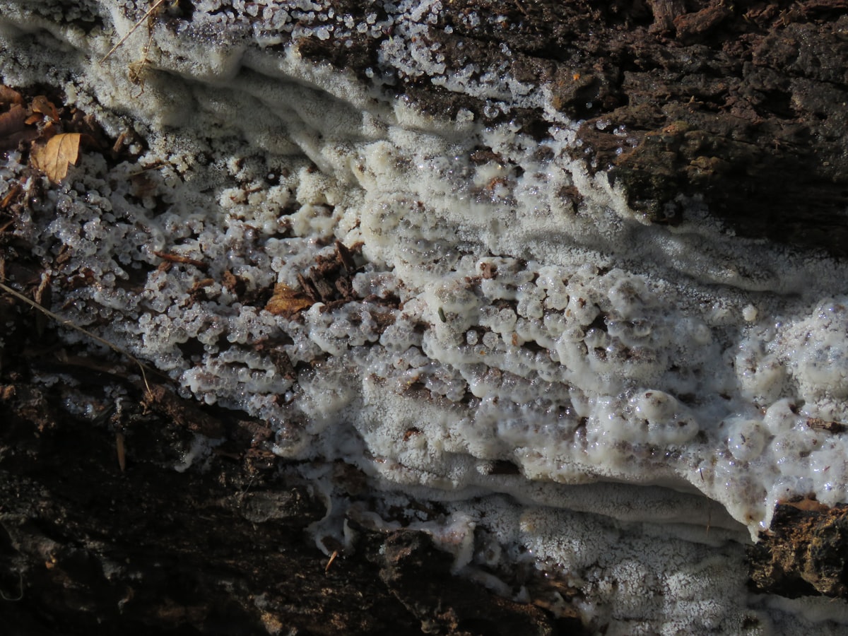 Gas Safe registeredty & Certificates service in Wigan - Wigan Boiler Repair